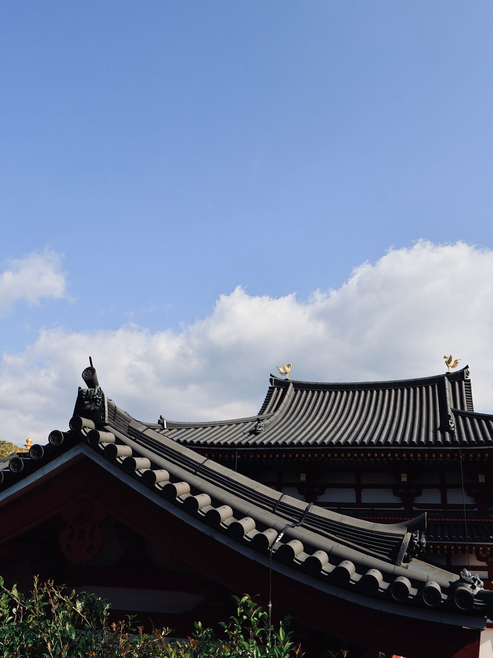 Nippon